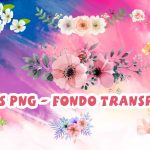 Flores PNG Fondo Transparente