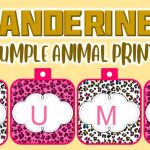 Banderines de Animal Print para Cumpleaños