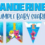 Banderines de Baby Shark para Cumpleaños