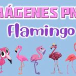 Imágenes PNG flamingo GRATIS con fondo transparente