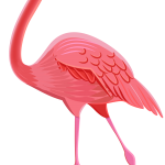 flamingo01
