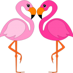 flamingo02