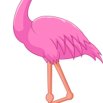 flamingo04