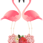 flamingo07