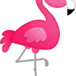 flamingo13