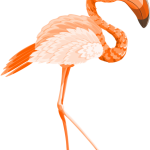 flamingo14
