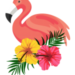 flamingo15